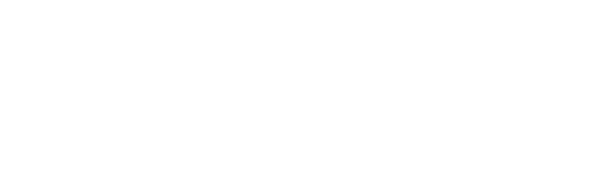 Viken-Gruppen